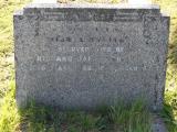 image of grave number 303496
